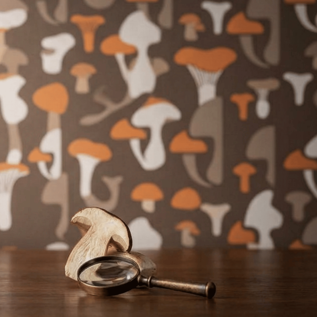Mushroom Wellness
