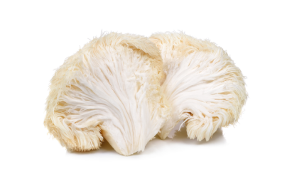 Lions Mane