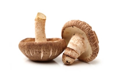 Shiitake