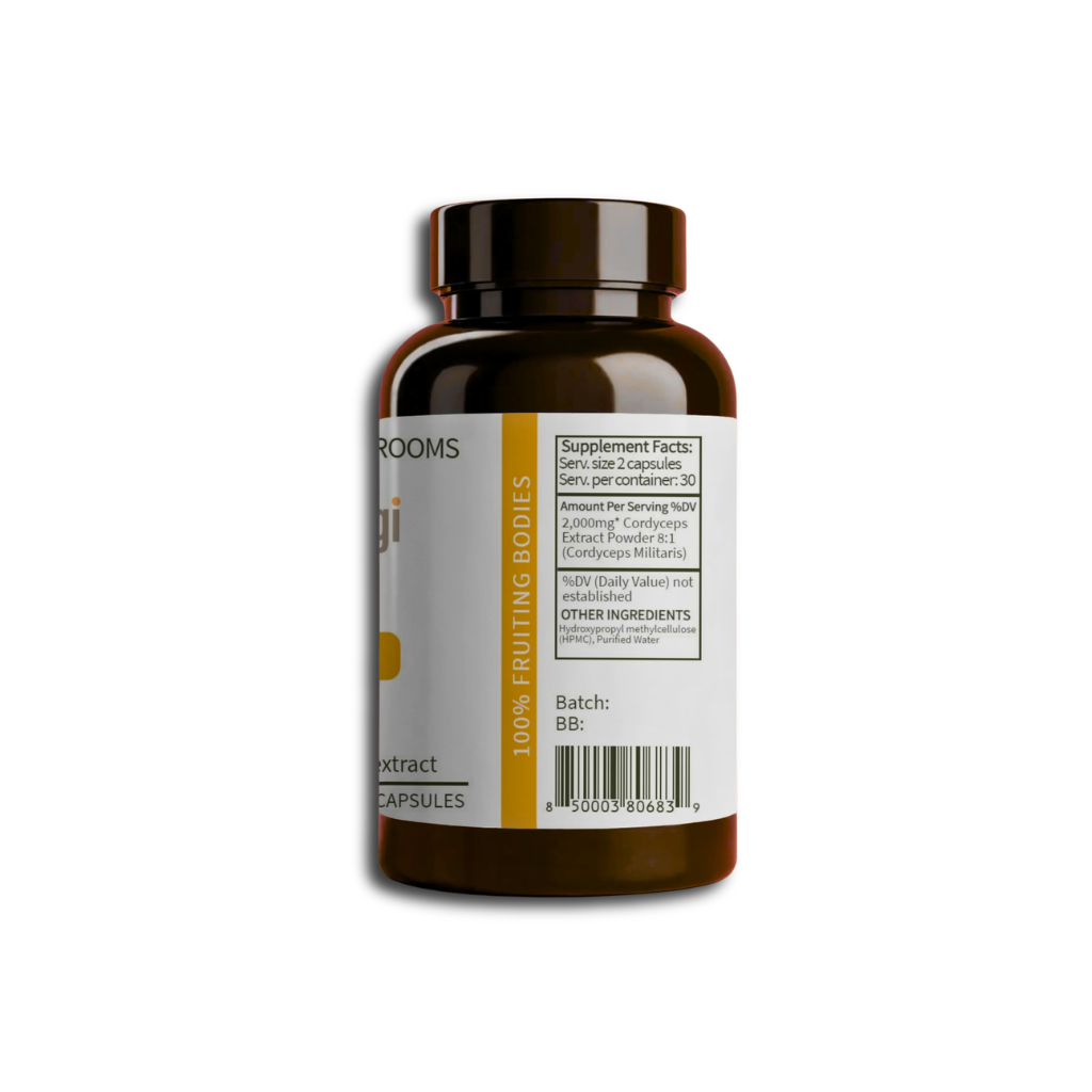 Cordyceps Mushroom Extract for Energy & Endurance | 60ct Capsules