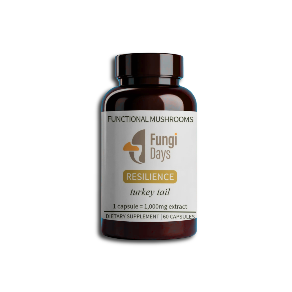 Turkey Tail Mushroom Extract for Immune Health | 60ct Capsules
